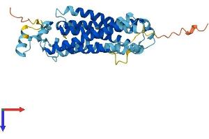 AlphaFold protein structure predicition of Human Recombinant SLC51A Protein, UniprotID Q86UW1