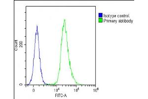 Overlay histogram showing Jurkat cells stained with (ABIN390769 and ABIN2841027)(green line).