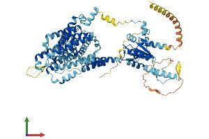 AlphaFold protein structure predicition of Human Recombinant SLC26A4 Protein, UniprotID O43511