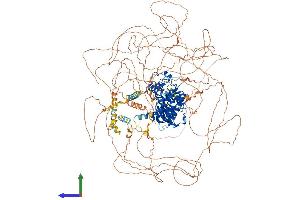 AlphaFold protein structure predicition of Mouse Recombinant Cdk12 Protein, UniprotID Q14AX6