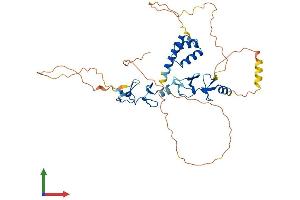 AlphaFold protein structure predicition of Mouse Recombinant Lhx2 Protein, UniprotID Q9Z0S2