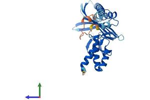 AlphaFold protein structure predicition of Human Recombinant CAPZA3 Protein, UniprotID Q96KX2