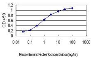 Detection limit for recombinant GST tagged SHC1 is approximately 0.
