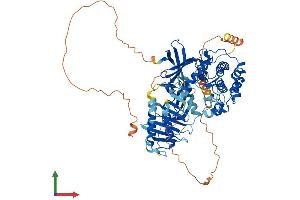 AlphaFold protein structure predicition of Mouse Recombinant Plk2 Protein, UniprotID P53351