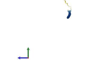 AlphaFold protein structure predicition of Human Recombinant CCDC153 Protein, UniprotID Q494R4