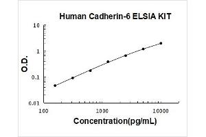 Typical Standard Curve