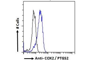 ABIN184672 Flow cytometric analysis of paraformaldehyde fixed HeLa cells (blue line), permeabilized with 0.