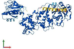 AlphaFold protein structure predicition of Human Recombinant RHOT1 Protein, UniprotID Q8IXI2