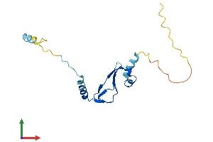AlphaFold protein structure predicition of Human Recombinant BTF3L4 Protein, UniprotID Q96K17