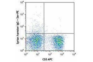 Flow Cytometry (FACS) image for anti-CD28 (CD28) antibody (Biotin) (ABIN2661030) (CD28 anticorps  (Biotin))