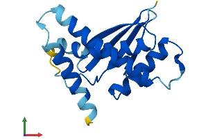 AlphaFold protein structure predicition of Mouse Recombinant Trappc6b Protein, UniprotID Q9D289