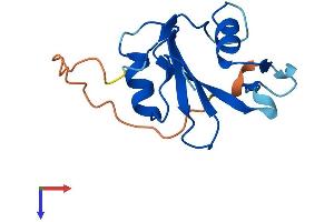 AlphaFold protein structure predicition of Human Recombinant SH2D1B Protein, UniprotID O14796