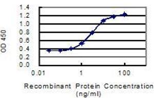 anti-Arginine Vasopressin Induced Protein 1 (AVPI1) (AA 1-147) antibody