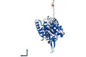 AlphaFold protein structure predicition of Mouse Recombinant Mthfd2l Protein, UniprotID D3YZG8