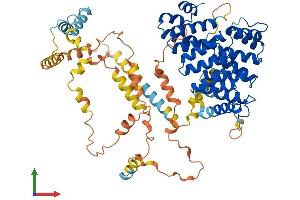 AlphaFold protein structure predicition of Human Recombinant PEX5 Protein, UniprotID P50542