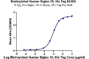 Immobilized Anti-Siglec-10, hFc Tag Antibody at 2 μg/mL (100 μL/well) on the plate.