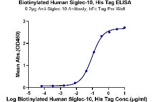 Immobilized Anti-Siglec-10, hFc Tag Antibody at 2 μg/mL (100 μL/well) on the plate. (SIGLEC10 Protein (AA 17-546) (His-Avi Tag,Biotin))