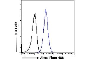 (ABIN571175) Flow cytometric analysis of paraformaldehyde fixed U2OS cells (blue line), permeabilized with 0.
