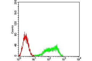 Flow cytometric analysis of HL-60 cells using CD97 mouse mAb (green) and negative control (red).
