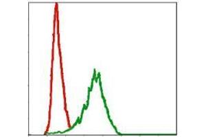 Flow cytometric analysis of NIH/3T3 cells using DLK1 mouse mAb (green) and negative control (red). (DLK1 anticorps)
