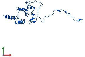 AlphaFold protein structure predicition of Human Recombinant NDUFA12 Protein, UniprotID Q9UI09