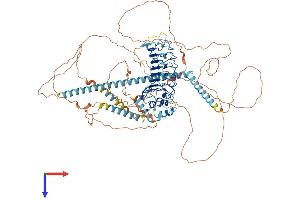 AlphaFold protein structure predicition of Human Recombinant CEP97 Protein, UniprotID Q8IW35