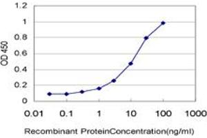 Detection limit for recombinant GST tagged ARHGEF1 is approximately 0.