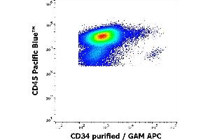 Flow cytometry multicolor surface staining of human peripheral blood stained using anti-human CD34 (QBEnd-10) purified antibody (concentration in sample 0,6 μg/mL, GAM APC, red-filled) and anti-human CD45 (MEM-28) Pacific Blue antibody (10 μL reagent / 100 μL of peripheral whole blood).