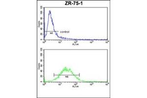 Flow Cytometry analysis of ZR-75-1 cells using CD114 / CSF3R Antibody (Center) Cat.