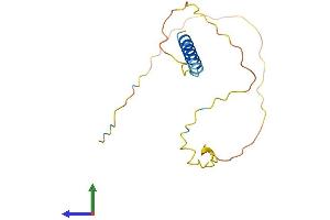 AlphaFold protein structure predicition of Mouse Recombinant Cend1 Protein, UniprotID Q9JKC6