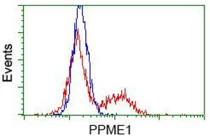 HEK293T cells transfected with either pCMV6-ENTRY PPME1 (RC200009) (Red) or empty vector control plasmid (Blue) were immunostained with anti-PPME1 mouse monoclonal (ABIN2453495, Dilution 1:1,000), and then analyzed by flow cytometry. (PPME1 anticorps)