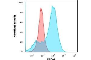 Flow Cytometric Analysis of A549 cells using S100A4 Recombinant Mouse Monoclonal Antibody (rS100A4/1481) followed by goat anti-Mouse IgG-CF488 (Blue); Isotype Control (Red).