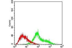 Flow cytometric analysis of Hela cells using TUBE1 mouse mAb (green) and negative control (red).