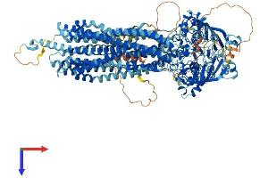 AlphaFold protein structure predicition of Mouse Recombinant Abcb11 Protein, UniprotID Q9QY30
