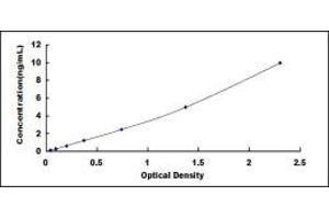 Typical standard curve (HMGN1 Kit ELISA)