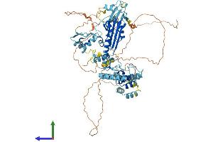 AlphaFold protein structure predicition of Mouse Recombinant Ankzf1 Protein, UniprotID Q80UU1