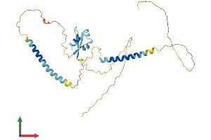 AlphaFold protein structure predicition of Mouse Recombinant Lysmd3 Protein, UniprotID Q99LE3