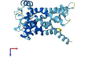 AlphaFold protein structure predicition of Mouse Recombinant Slc25a35 Protein, UniprotID Q5SWT3