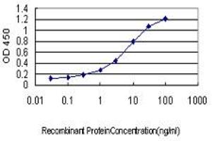 Detection limit for recombinant GST tagged HYI is approximately 0. (HYI anticorps  (AA 1-217))