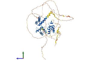 AlphaFold protein structure predicition of Mouse Recombinant Pax7 Protein, UniprotID P47239