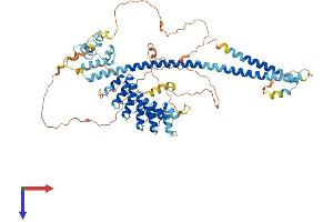 AlphaFold protein structure predicition of Human Recombinant ANKS3 Protein, UniprotID Q6ZW76