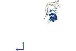 AlphaFold protein structure predicition of Mouse Recombinant Gas7 Protein, UniprotID Q60780