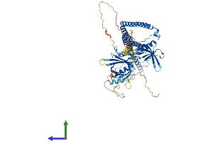 AlphaFold protein structure predicition of Mouse Recombinant Appl2 Protein, UniprotID Q8K3G9