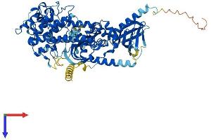 AlphaFold protein structure predicition of Mouse Recombinant Grk2 Protein, UniprotID Q99MK8