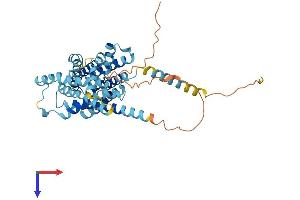 AlphaFold protein structure predicition of Mouse Recombinant Slc35f3 Protein, UniprotID Q1LZI2