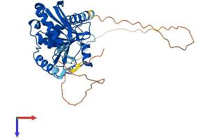 AlphaFold protein structure predicition of Mouse Recombinant Endov Protein, UniprotID Q8C9A2