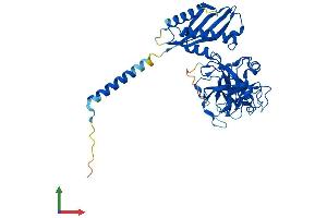 AlphaFold protein structure predicition of Mouse Recombinant Tmprss11b Protein, UniprotID Q14C59