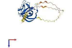 AlphaFold protein structure predicition of Human Recombinant FGF14 Protein, UniprotID Q92915