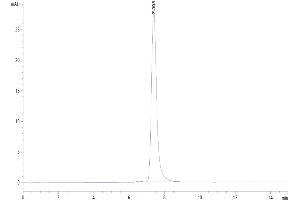 Size-exclusion chromatography-High Pressure Liquid Chromatography (SEC-HPLC) image for CD274 (PD-L1) (AA 19-238) protein (Fc Tag) (ABIN7275430)