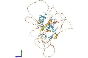 AlphaFold protein structure predicition of Mouse Recombinant E4f1 Protein, UniprotID Q8CCE9